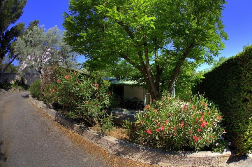 Image Camping Camping Marius