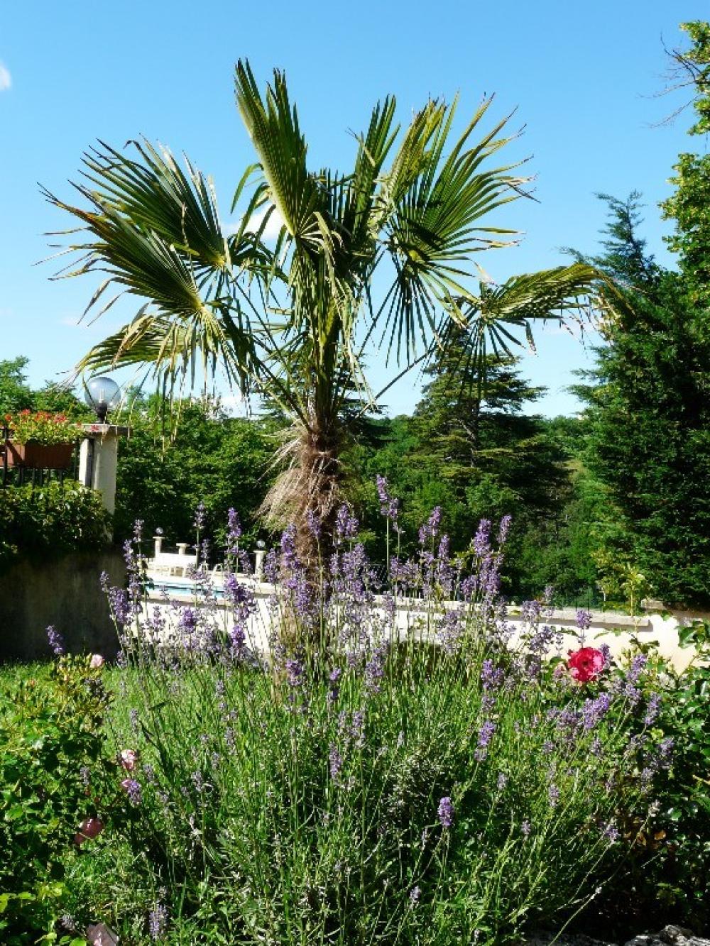 Image Camping Château de Lacomté Country Club