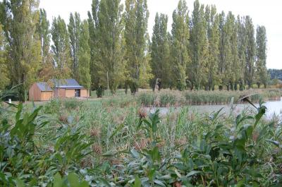Photo Camping Municipal de la Blardière