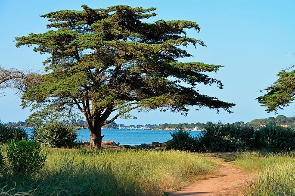 Image Camping Camping Ker Eden