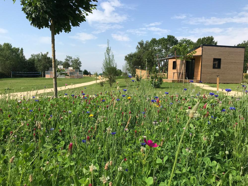Image Camping Camping l'Offrerie