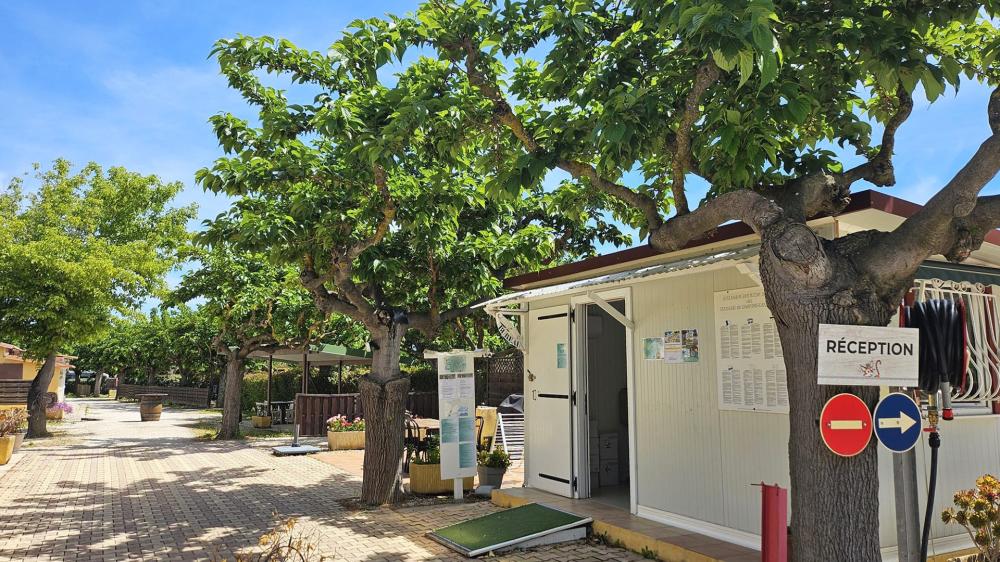 Image Camping Camping TIKAYAN Beau Séjour