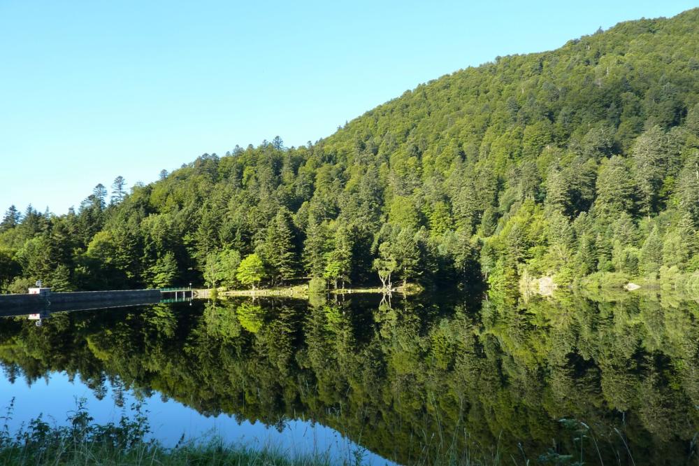 Image Camping Chalets de la Wormsa