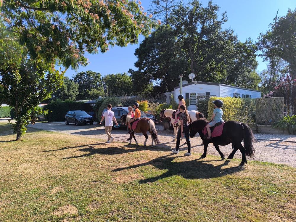Image Camping A l'abri de l'océan