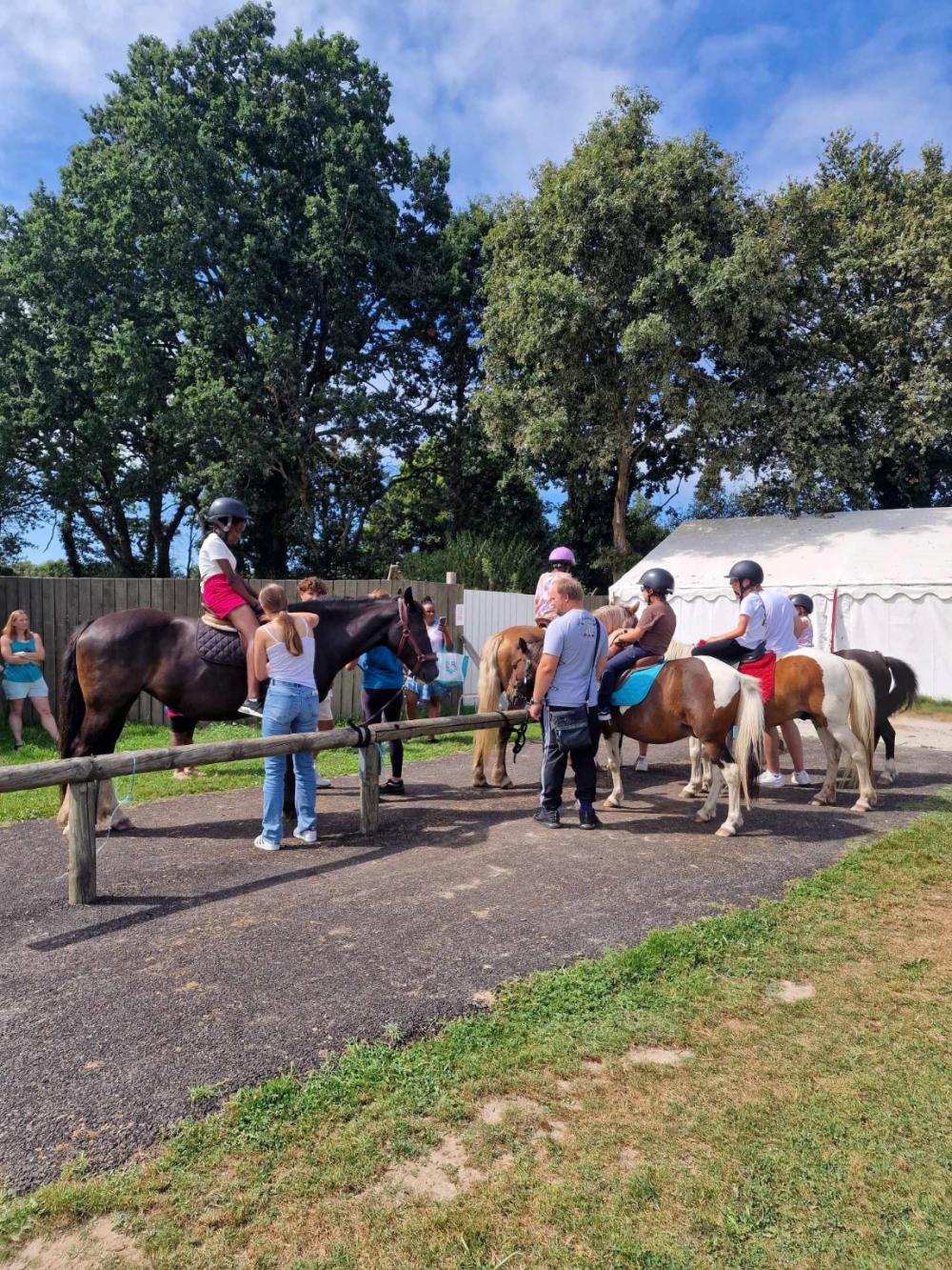 Image Camping Les Ptites Maisons Dans La Prairie***