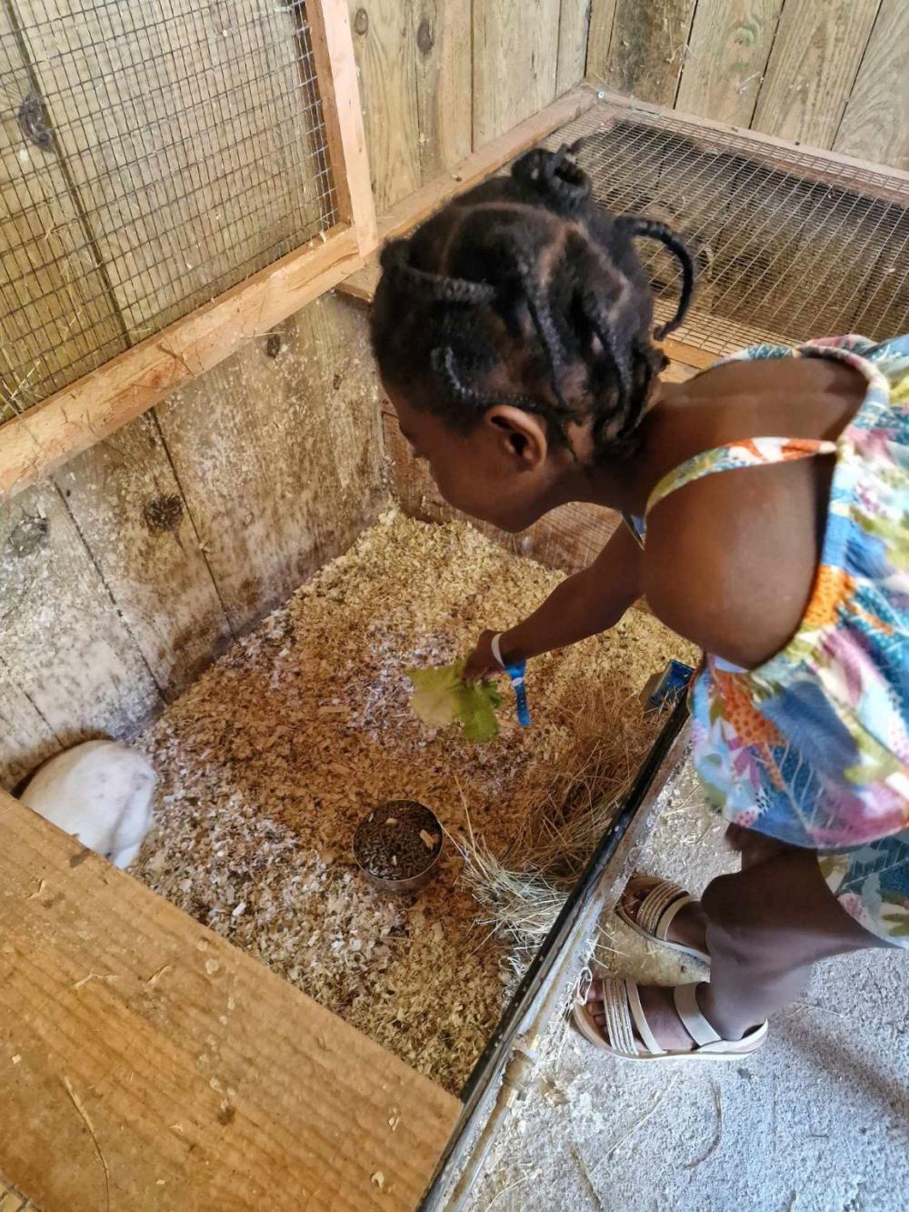 Image Camping Les Ptites Maisons Dans La Prairie***