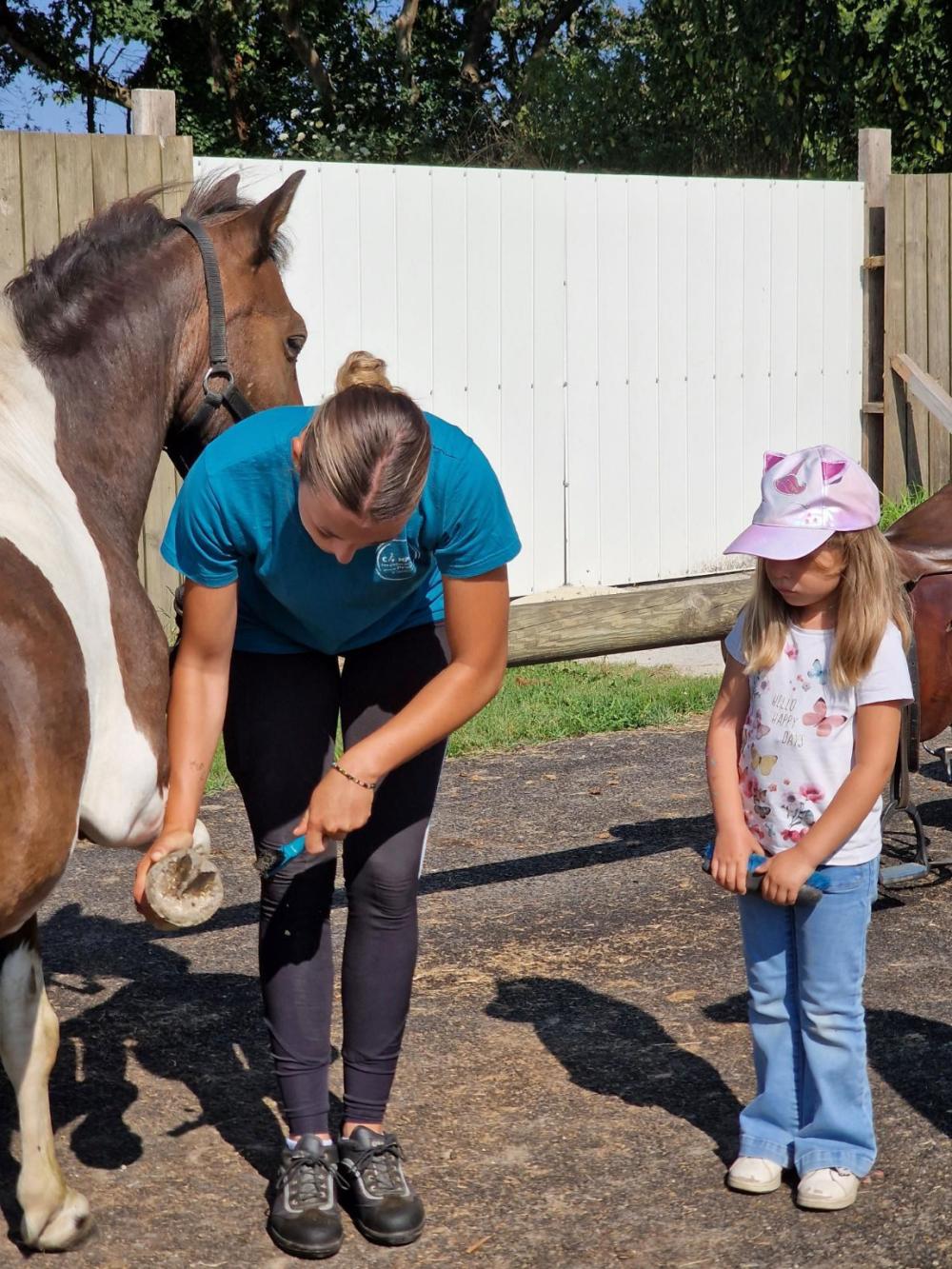 Image Camping Les Ptites Maisons Dans La Prairie***