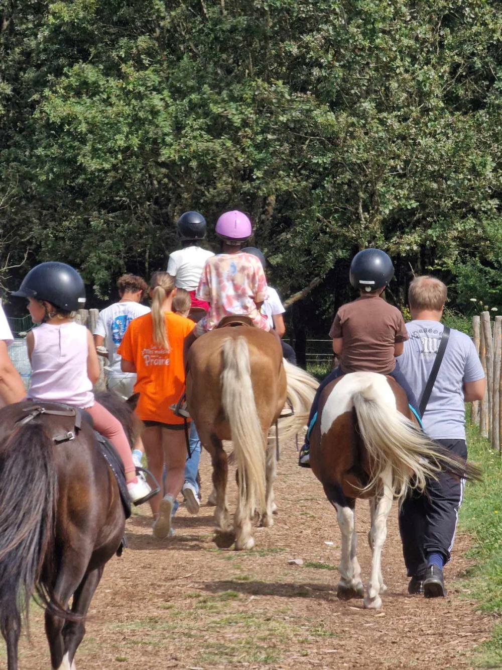 Image Camping Les Ptites Maisons Dans La Prairie***
