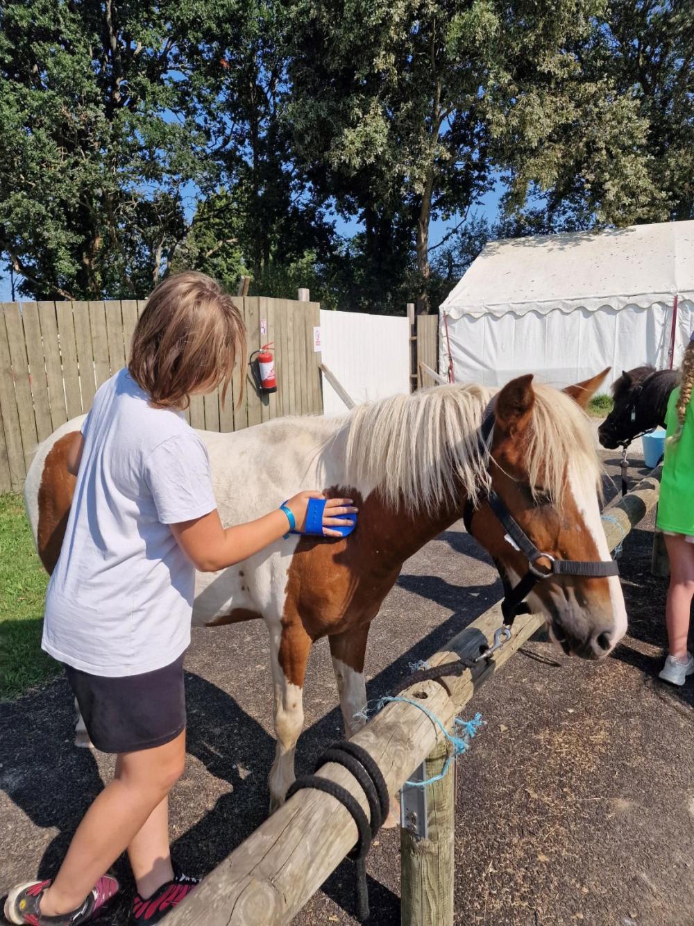 Image Camping Les Ptites Maisons Dans La Prairie***
