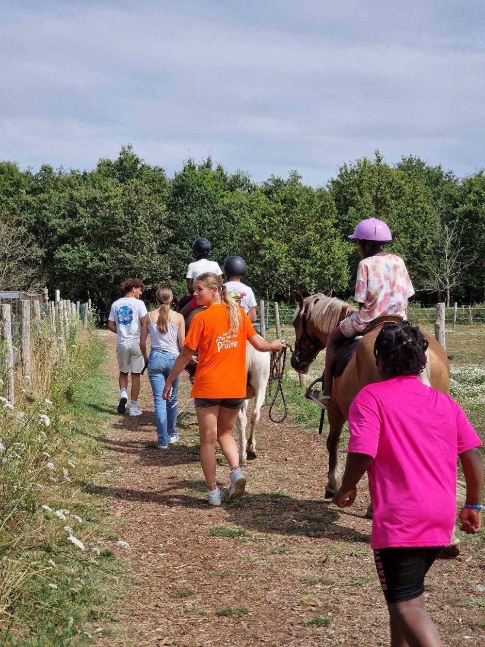 Image Camping Les Ptites Maisons Dans La Prairie***