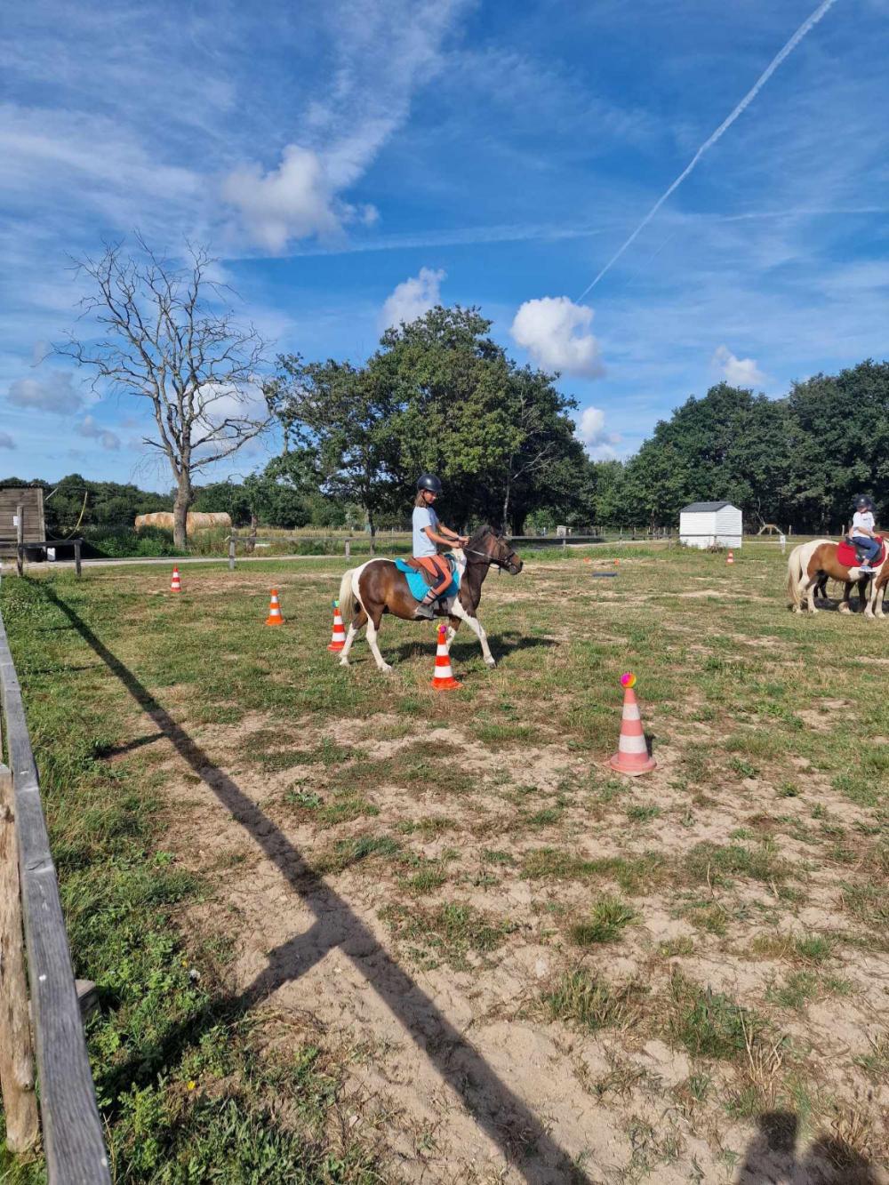 Image Camping Les Ptites Maisons Dans La Prairie***