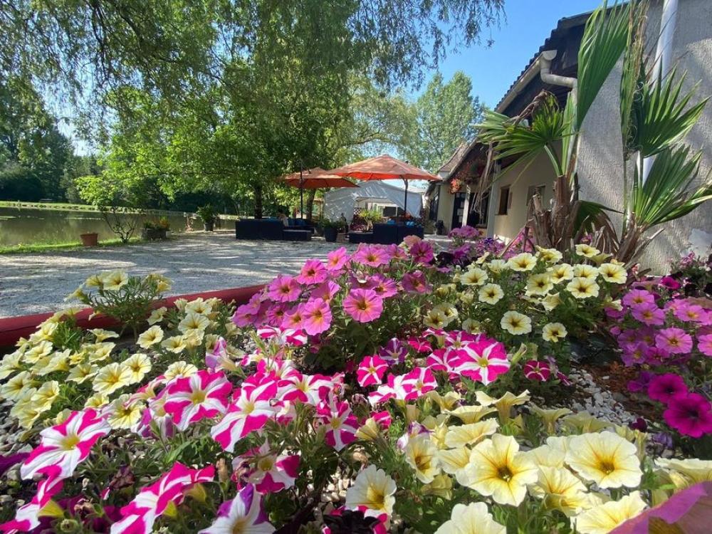 Image Camping LES ETANGS DE PLESSAC****