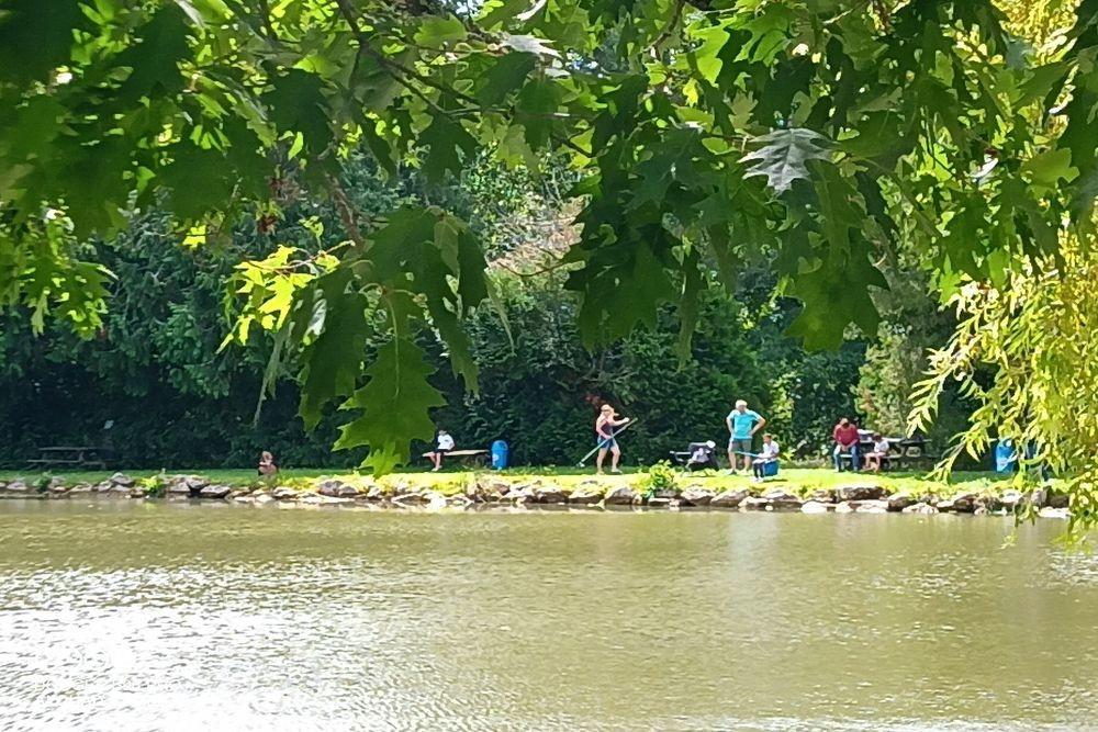 Image Camping LES ETANGS DE PLESSAC****