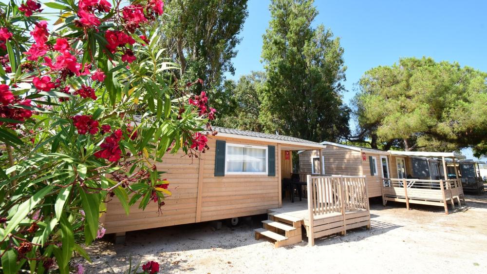 Image Camping Camping TIKAYAN La Bergerie Plage