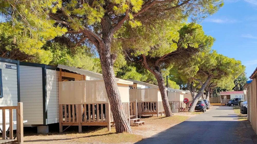 Image Camping Camping TIKAYAN La Bergerie Plage