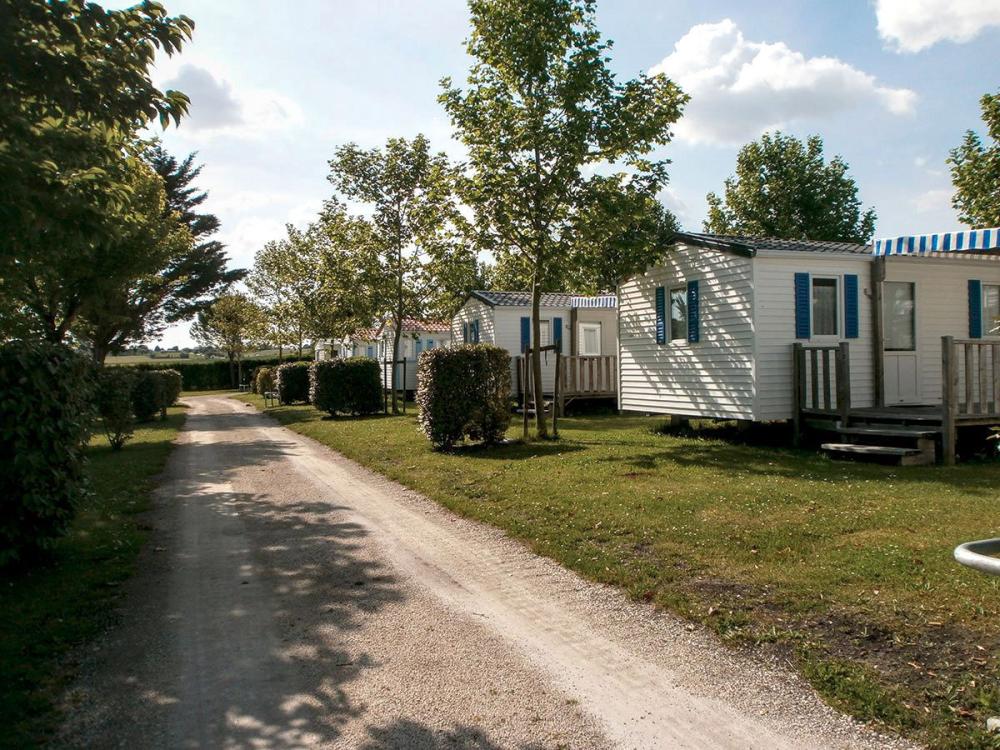 Image Camping 2B