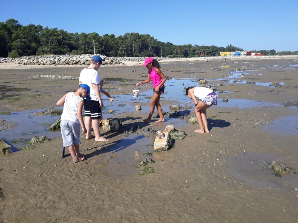 Image Camping Activ Loisirs Les Pins