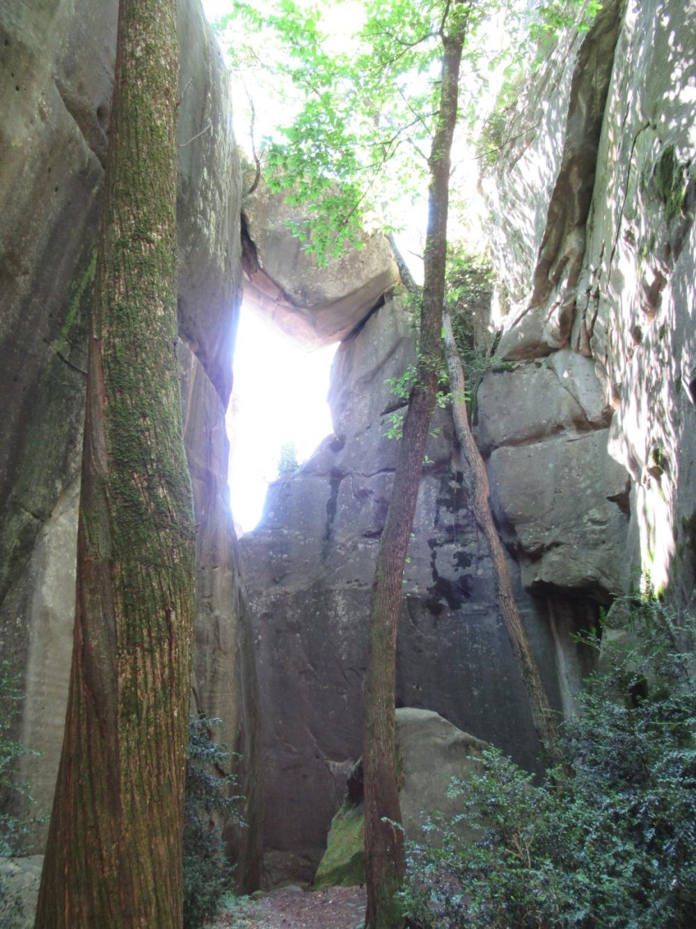Image Camping La Ribière