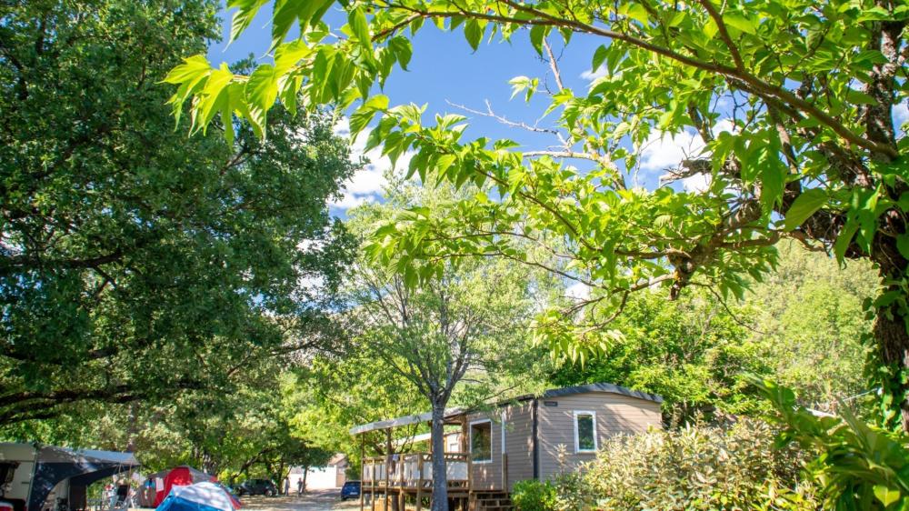 Image Camping Camping TIKAYAN Saint Clair