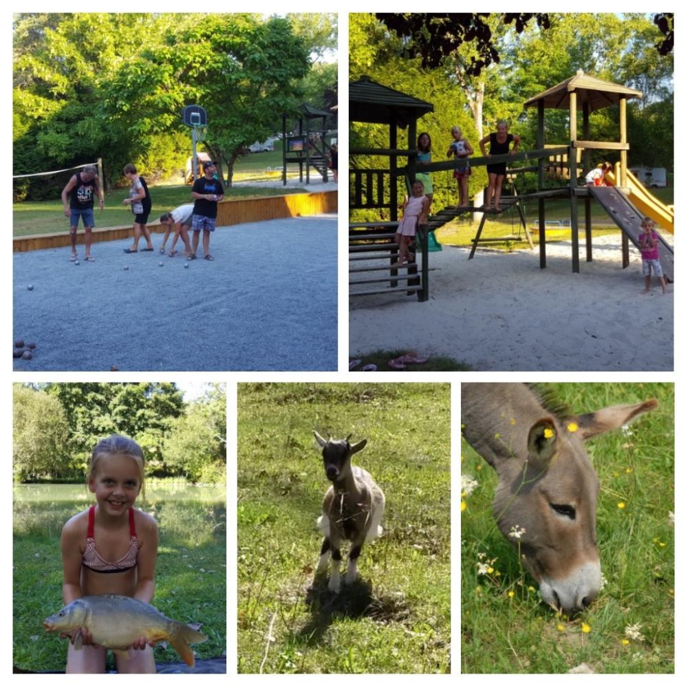 Image  camping Le Verdoyant