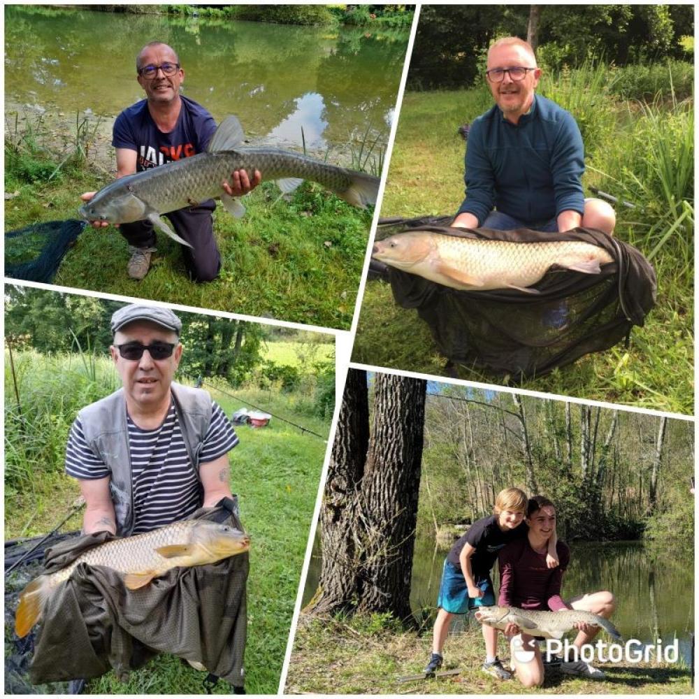 Image  camping Le Verdoyant