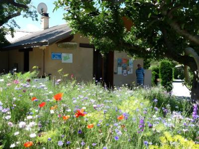 Photo Camping Le Verger