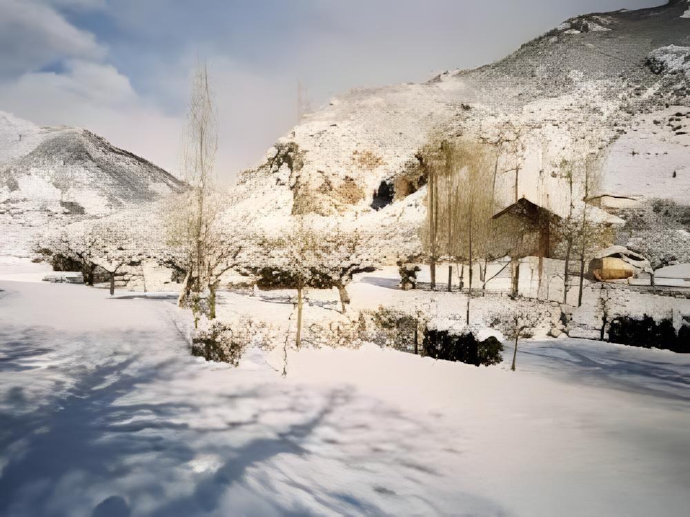 Image Camping Le Verger