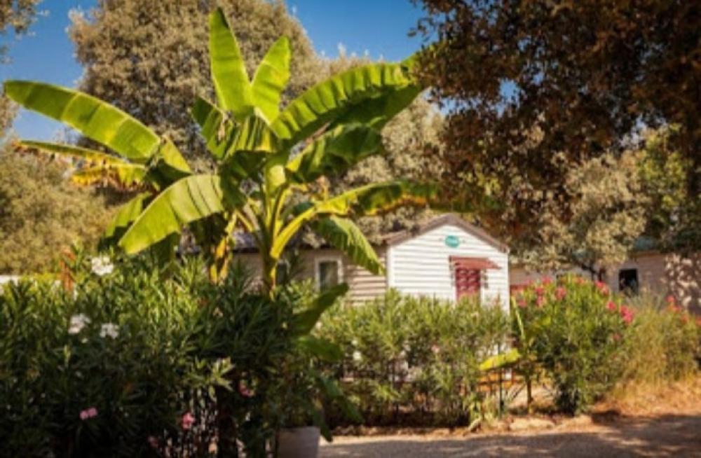 Image Camping Camping Domaine de Gajan****