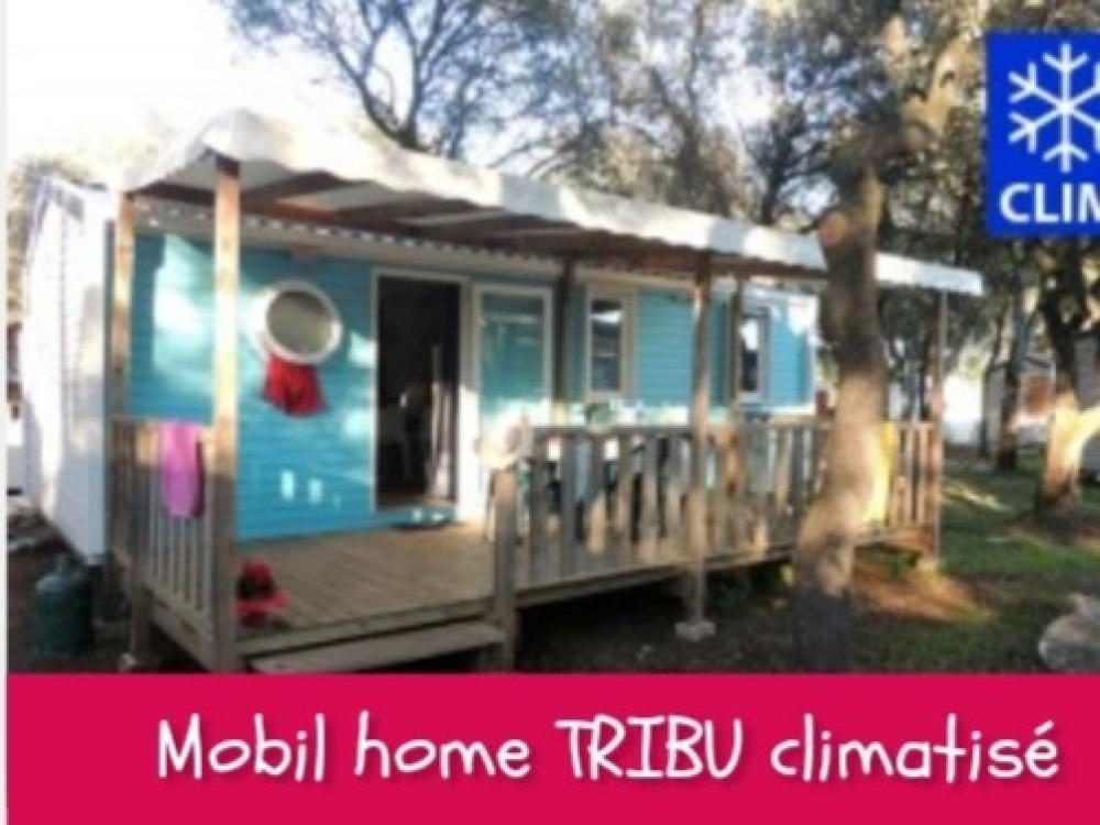 Image Camping Camping Domaine de Gajan****