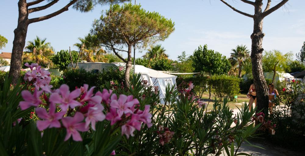 Image Camping Le Neptune