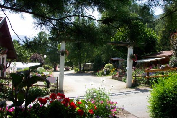 Image Camping Clair Matin