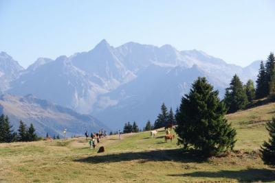 Photo Idéal Camping