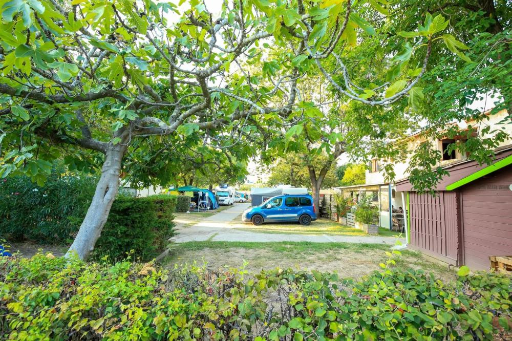 Image Camping Bungalows du Golfe / Camping Les Pruniers