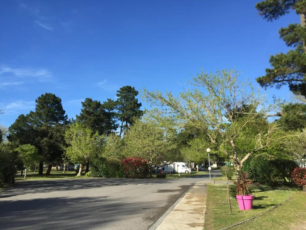 Image Camping Les Pins Bleus