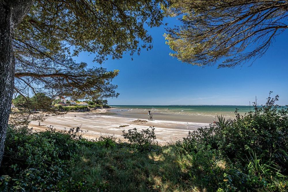 Image Flower camping La Guichardière