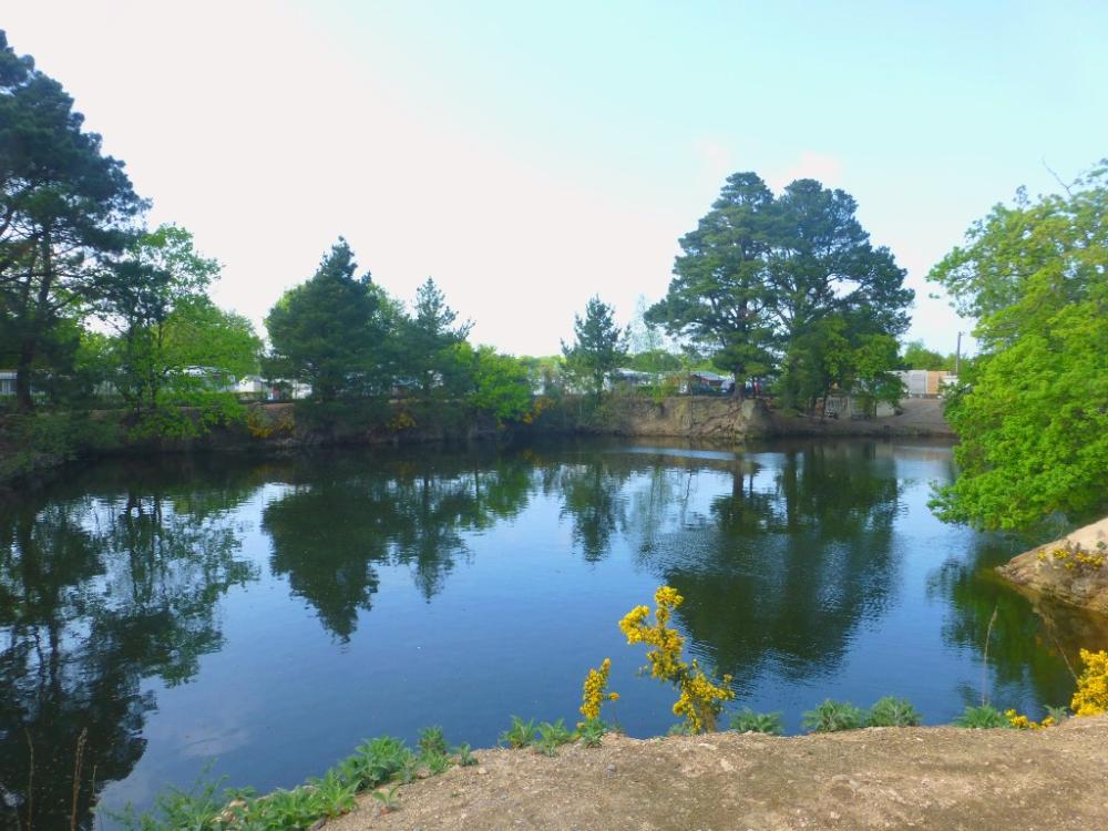 Image Camping Camping l'Eden