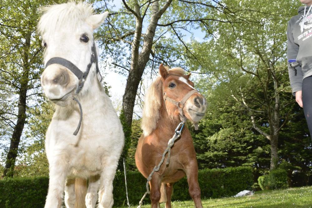 Image Camping Camping l'Eden