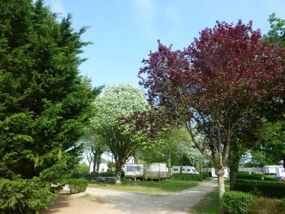 Image Camping Camping l'Eden