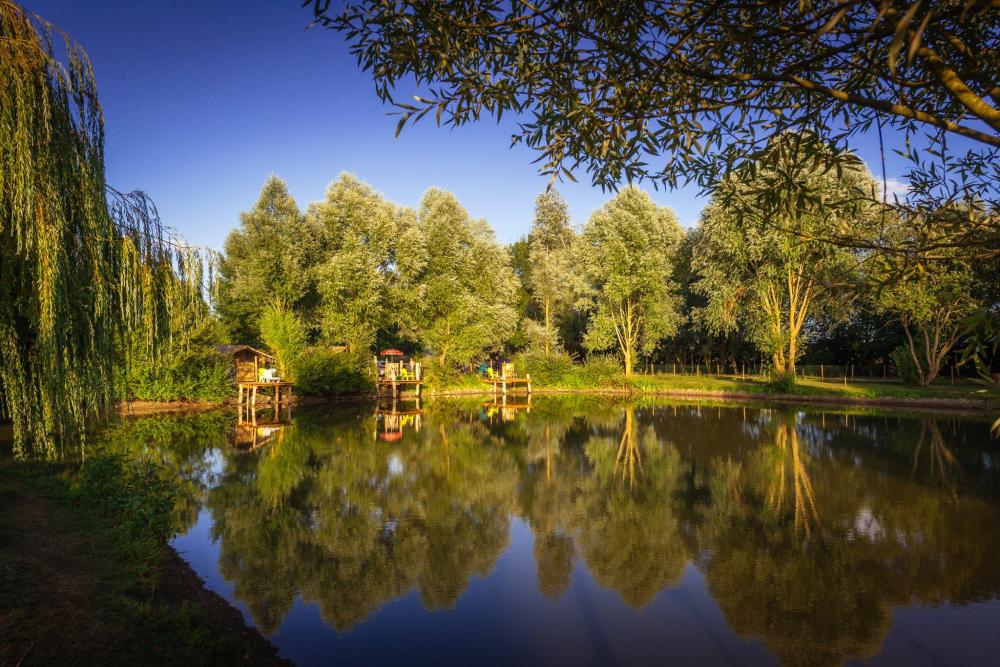 Image Camping Camping Sites et Paysages l'Etang
