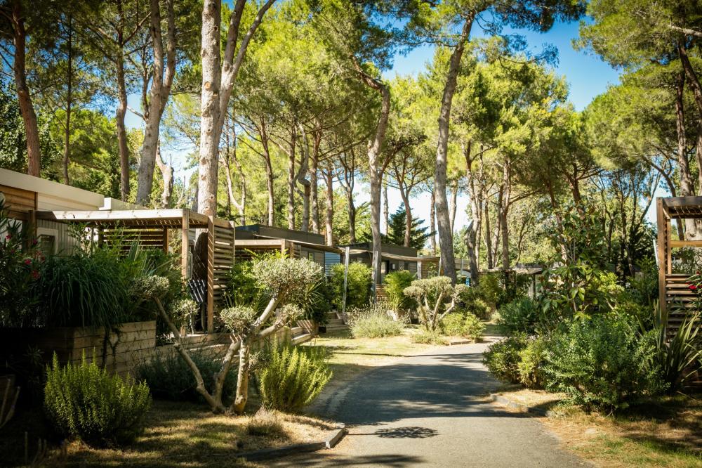 Image Camping  Ma Prairie****