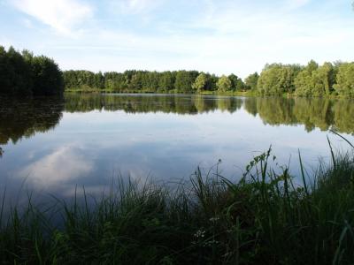 Photo Camping Le  Lac des Sapins