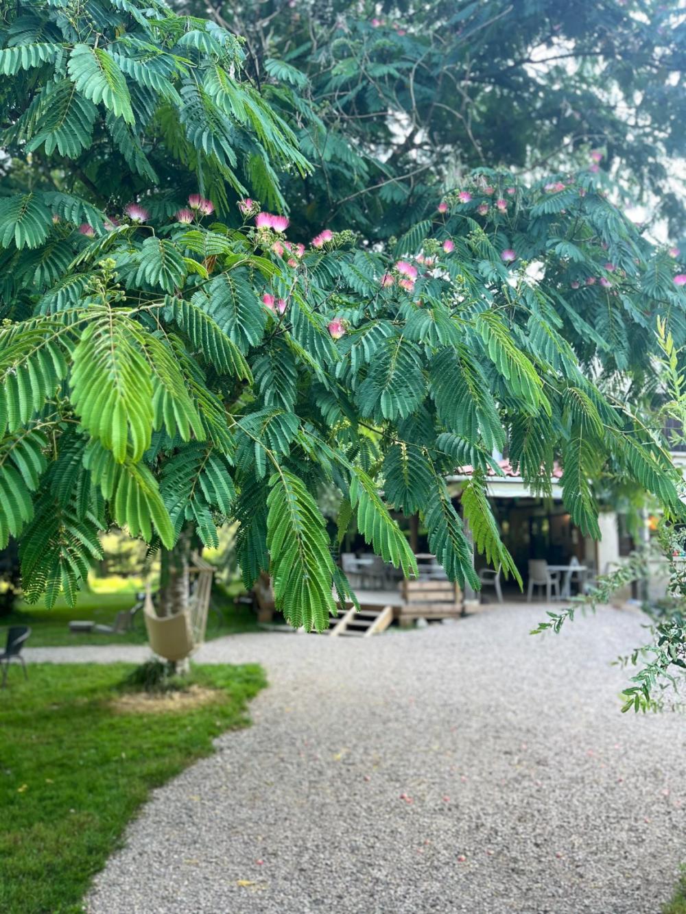 Image Camping La Prade