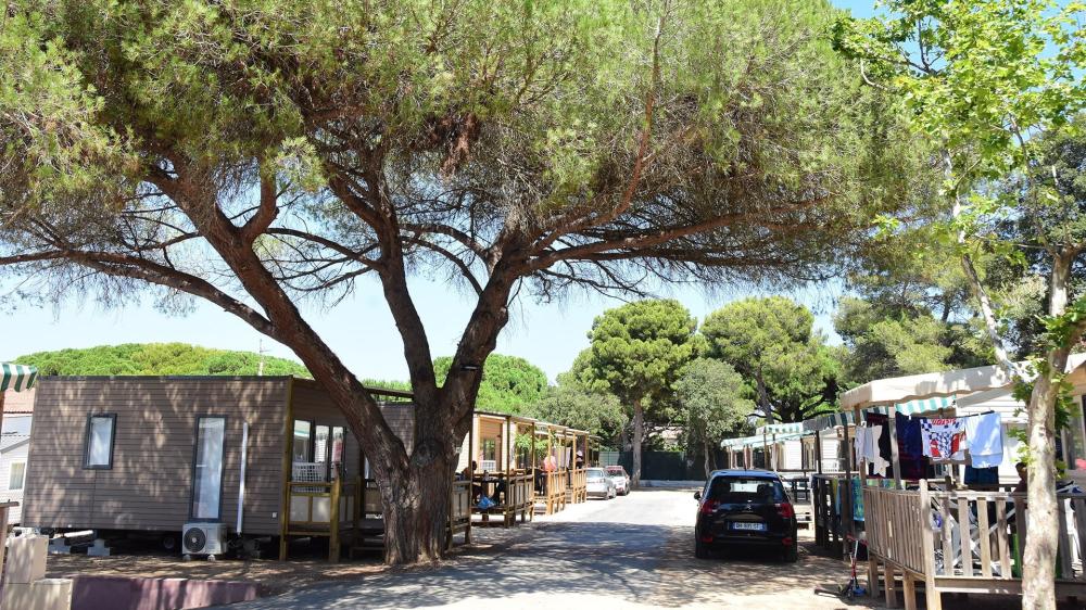 Image Camping Camping TIKAYAN Le Méditerranée