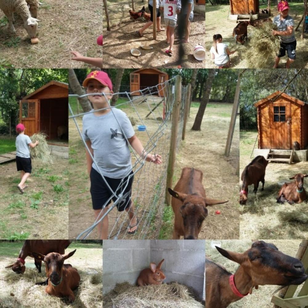 Image Camping La Source