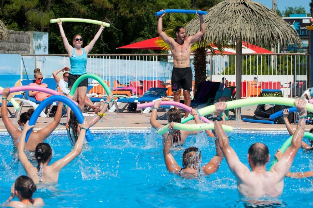 Guy RENAUD Porte-drapeau et bannière des chouans et Vendéens