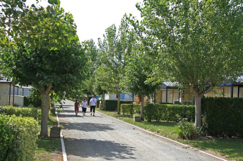 Image Camping Domaine Le Jardin du Marais