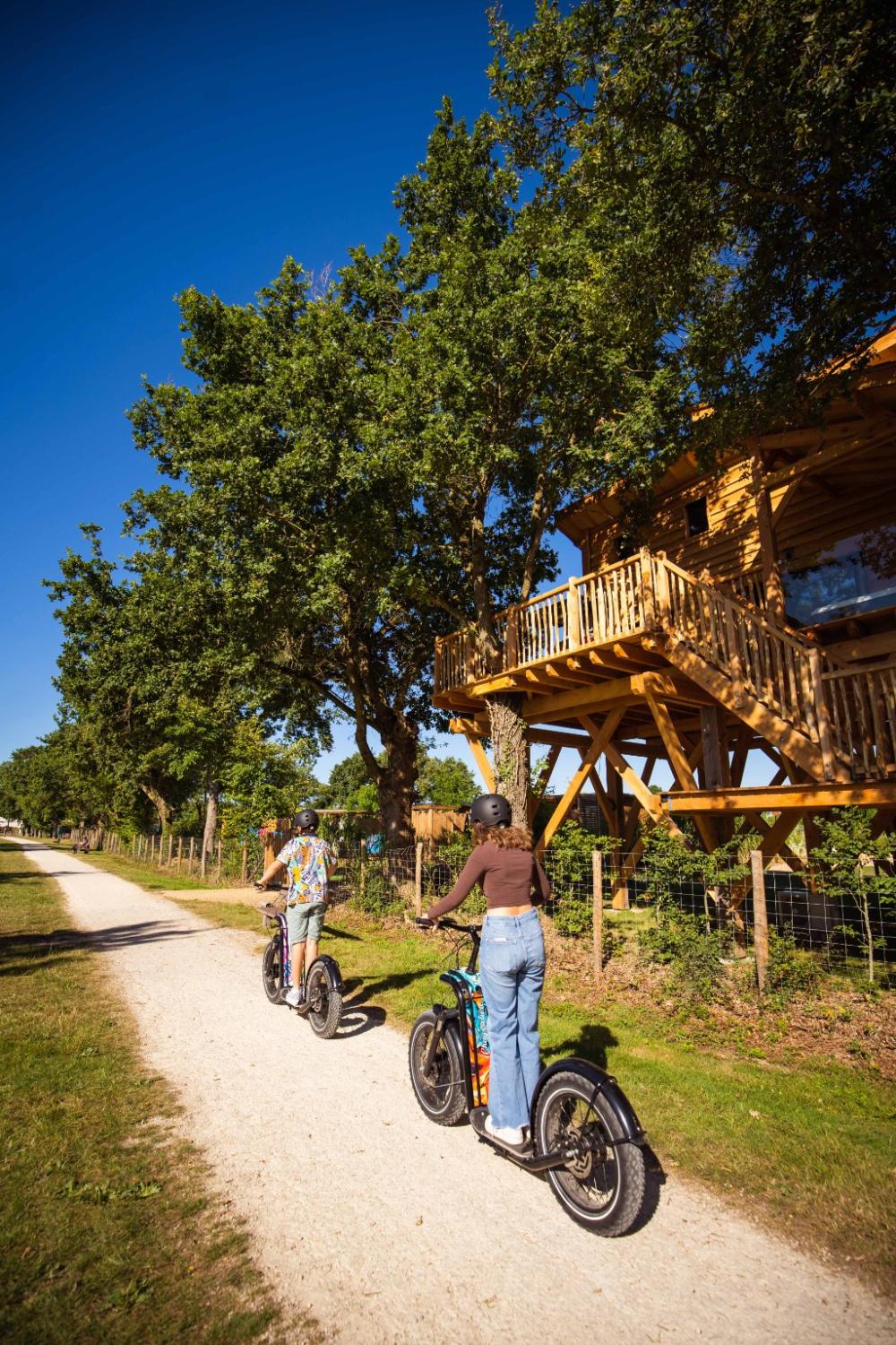 Image Camping Camping du Lac de La Chausselière