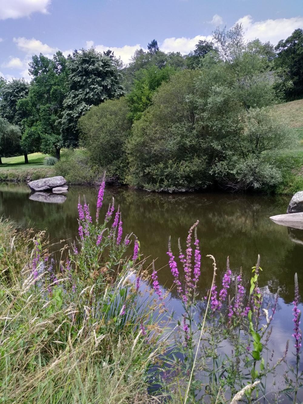 Image Camping Camping de La Gartempe