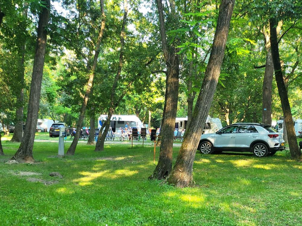 Image Camping CAMPING DU LION
