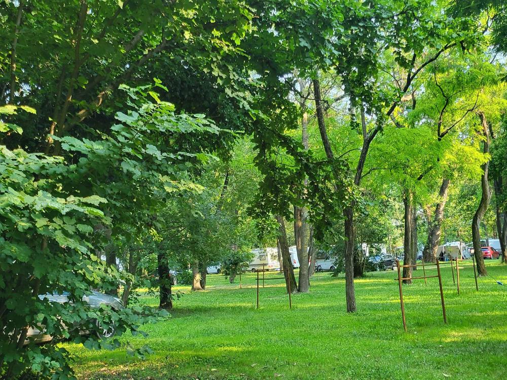 Image Camping CAMPING DU LION